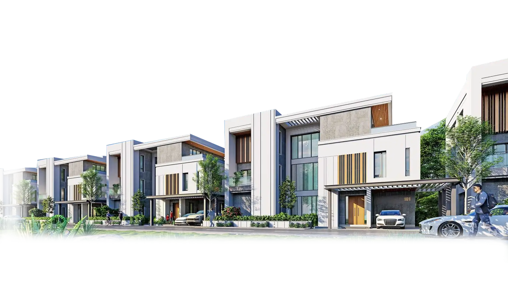 about constella image